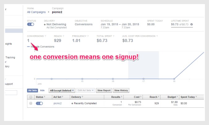 picnic conversion2-pic